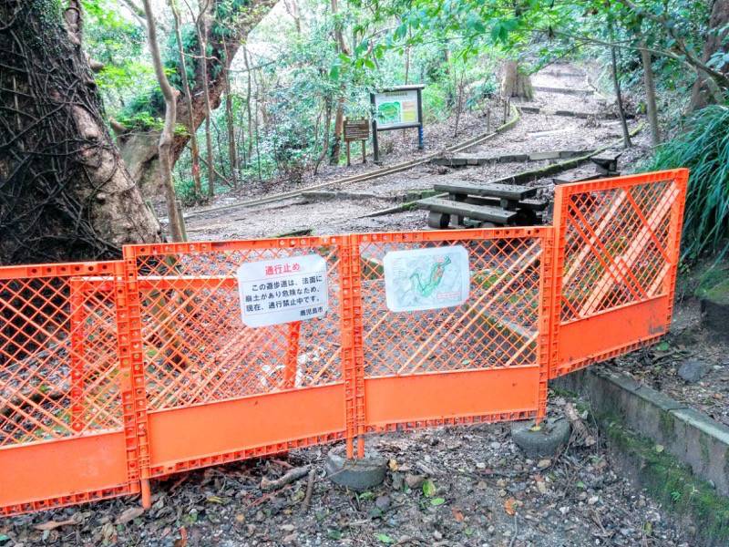 城山自然遊歩道18.jpg 城山自然遊歩道18