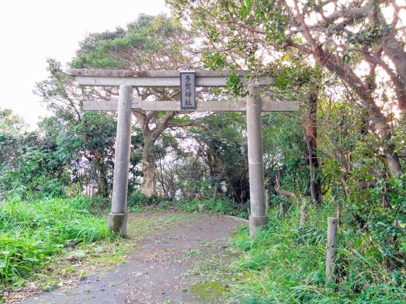 多賀神社 鳥居