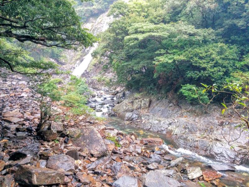 大川の滝 滝と川