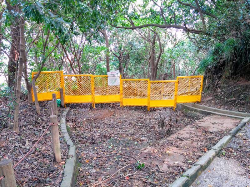 城山自然遊歩道22.jpg 城山自然遊歩道22