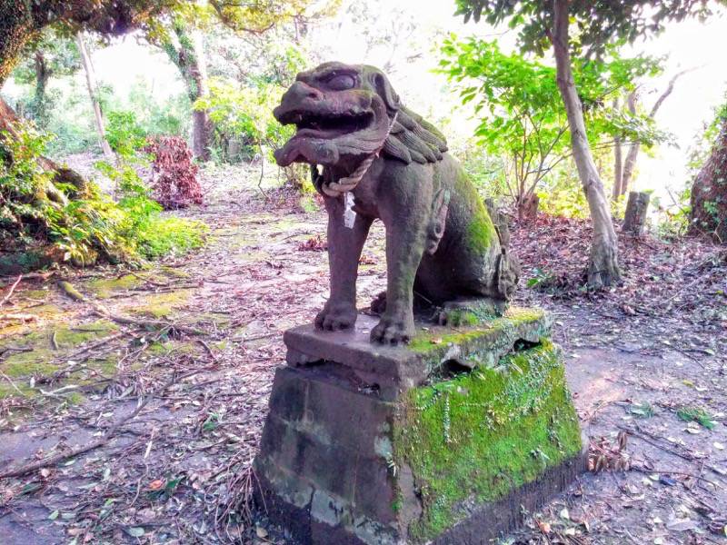 多賀神社 狛犬角なし