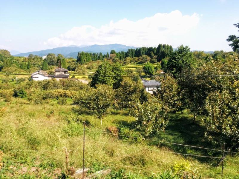 いさぶろう・しんぺい-大畑〜矢岳間6.jpg いさぶろう しんぺい 大畑 矢岳間6