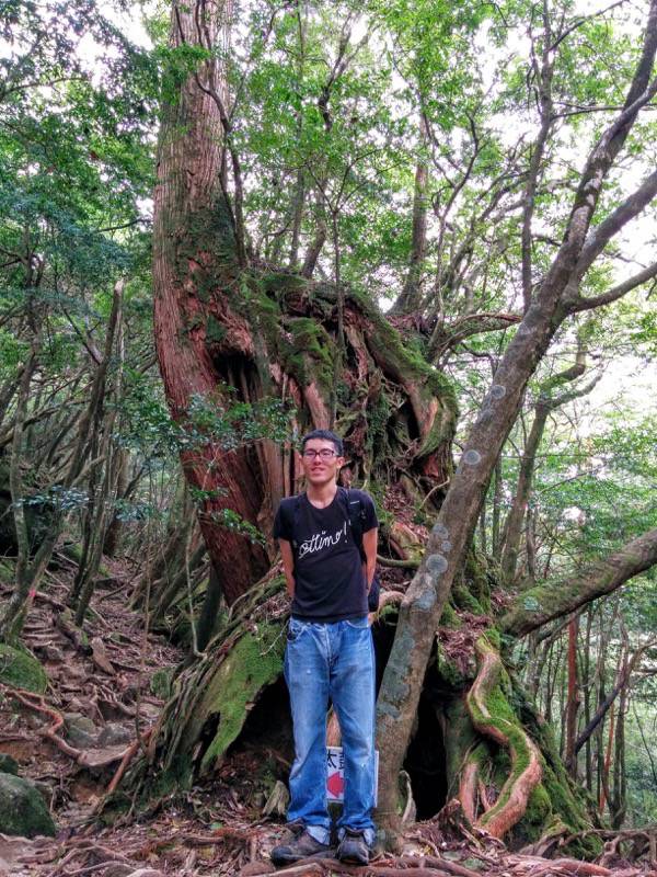 白谷雲水峡８５辻峠 太鼓岩間