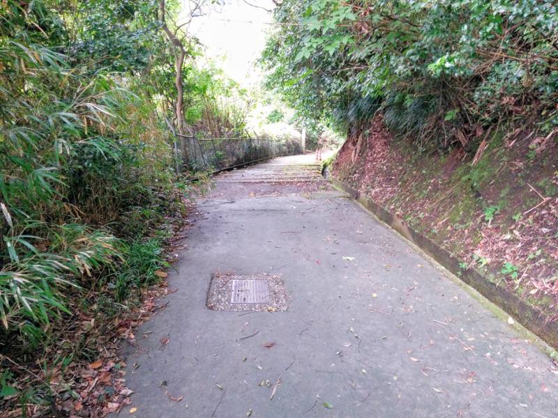 西郷隆盛南州洞窟 城山展望台からの道５