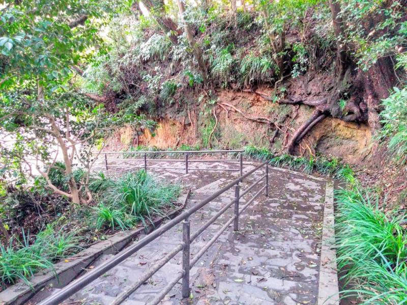 東福寺城跡25.jpg 東福寺城跡25