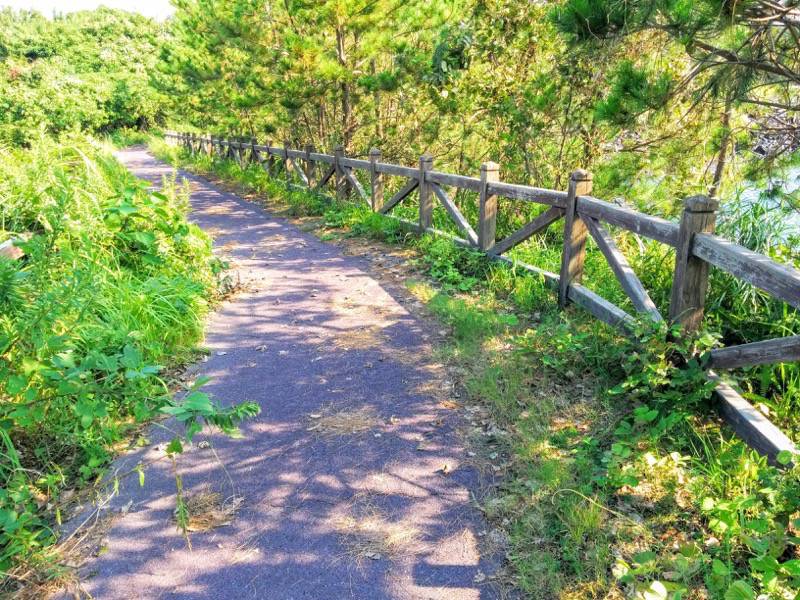 溶岩なぎさ遊歩道20.jpg 溶岩なぎさ遊歩道20