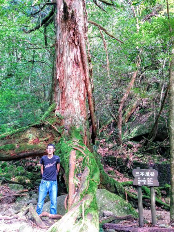 白谷雲水峡２５記念写真