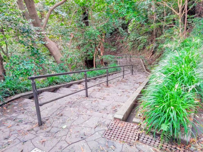 東福寺城跡20.jpg 東福寺城跡20