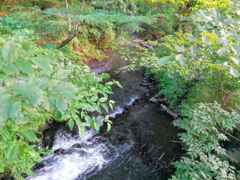 白川水源 付近の川２