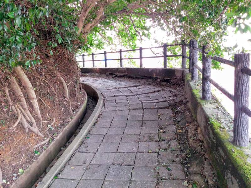 城山自然遊歩道8.jpg 城山自然遊歩道8