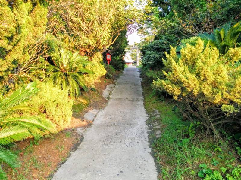 月読神社-参道.jpg 月読神社 参道