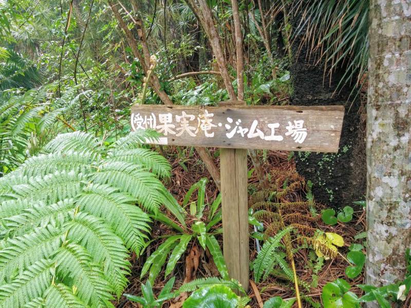 屋久島フルーツガーデン 果実庵へ５