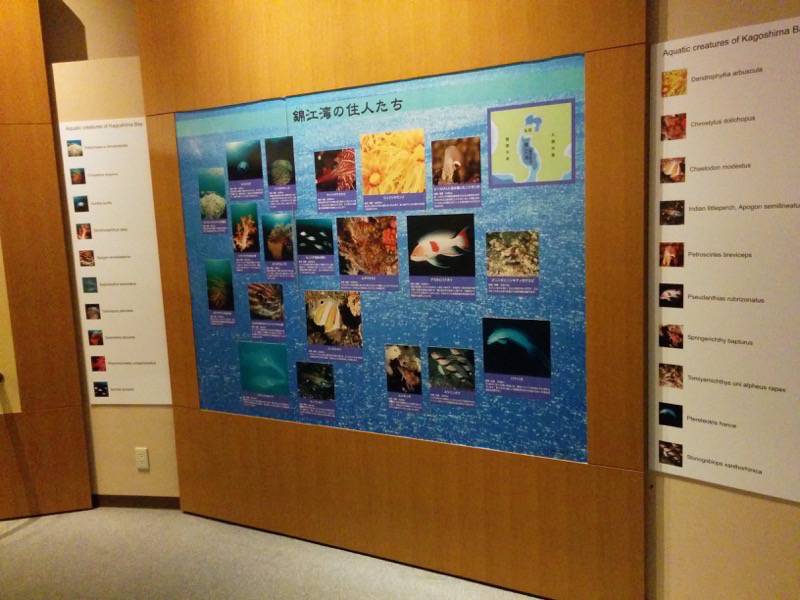 桜島ビジターセンター-館内9.jpg 桜島ビジターセンター 館内9