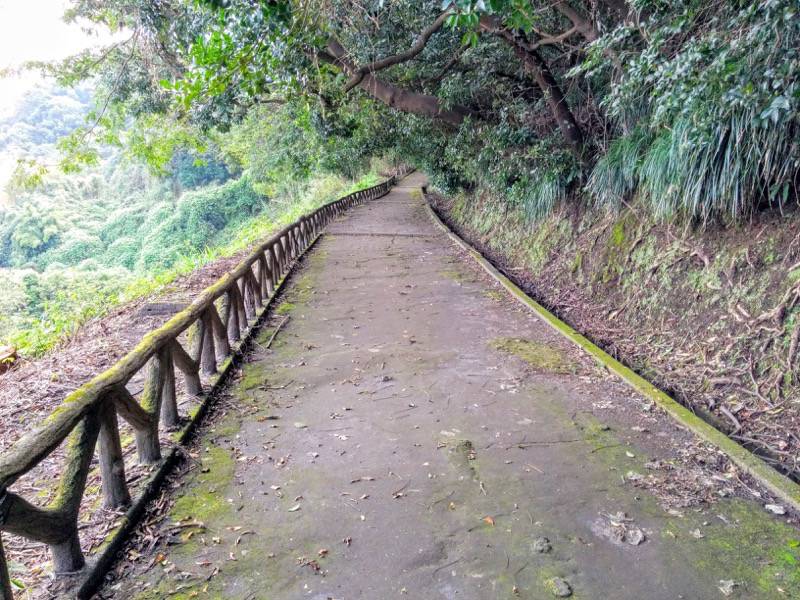 城山自然遊歩道14.jpg 城山自然遊歩道14