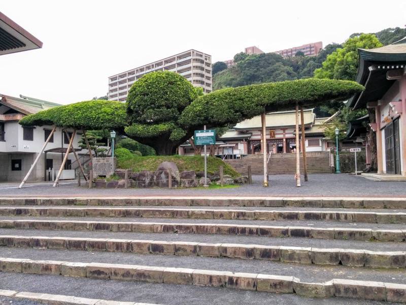 照国神社-斉鶴.jpg 照国神社 斉鶴