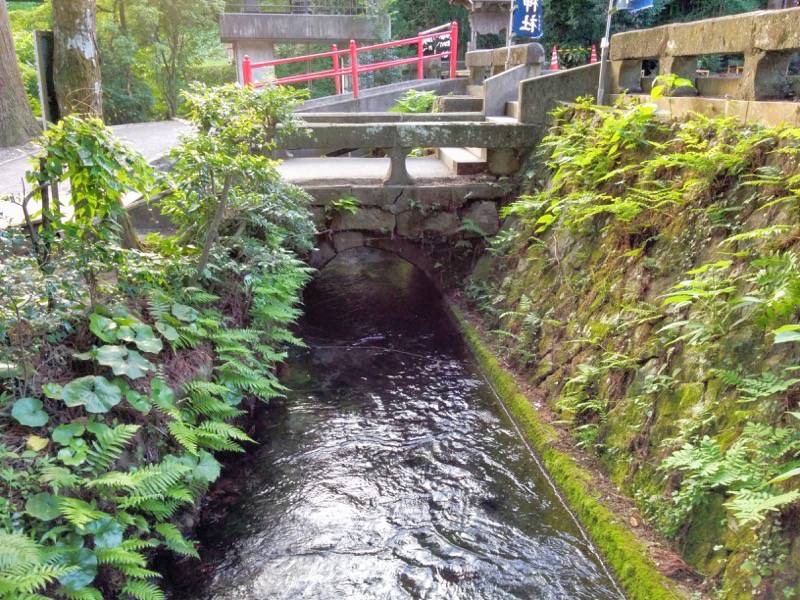白川水源 吉見神社前の川