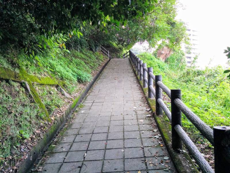 城山自然遊歩道10.jpg 城山自然遊歩道10