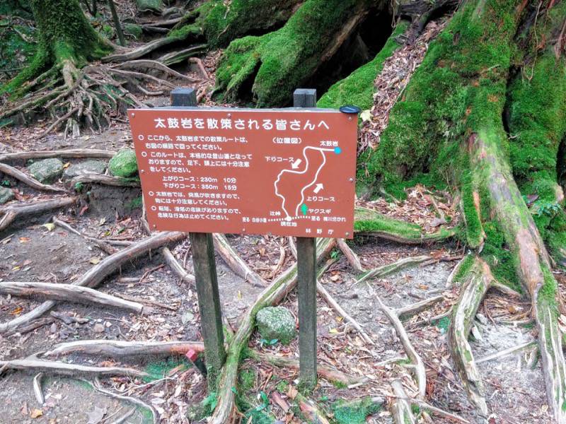 白谷雲水峡83太鼓岩案内.jpg 白谷雲水峡83太鼓岩案内