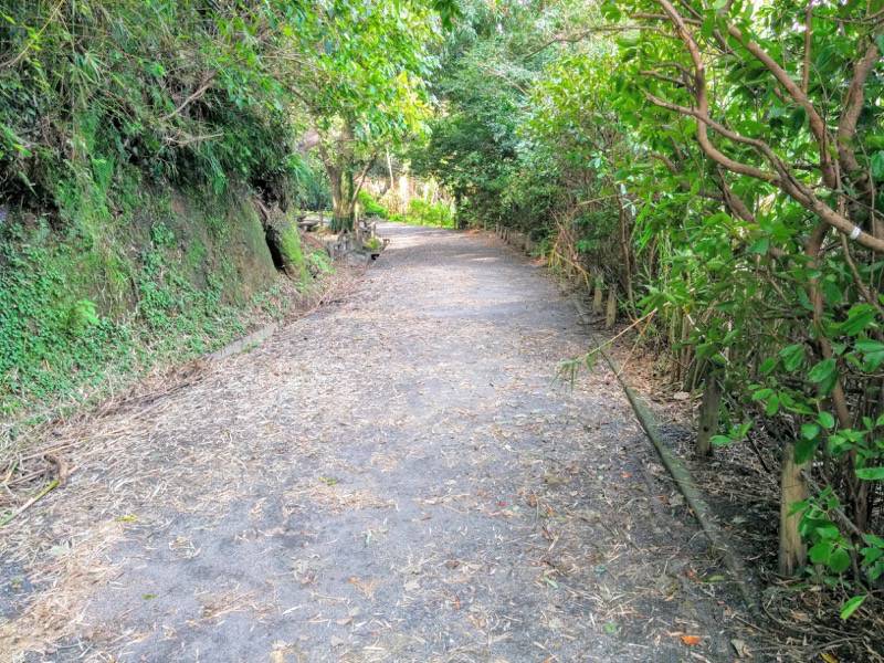 城山自然遊歩道3.jpg 城山自然遊歩道3