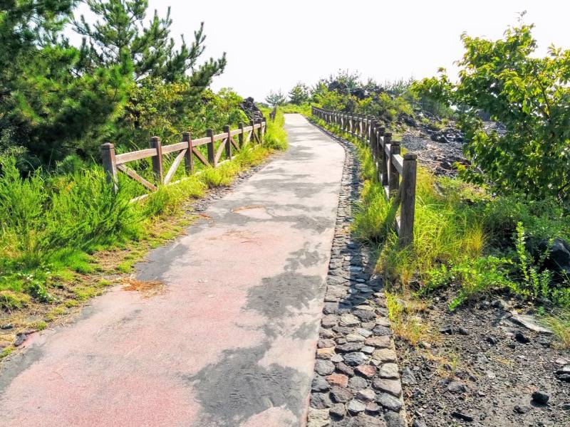 溶岩なぎさ遊歩道9.jpg 溶岩なぎさ遊歩道9
