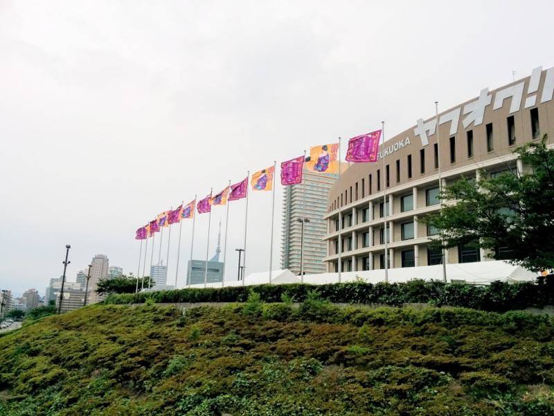 サザンおいしい葡萄の旅ヤフオク ヤフオクドーム３