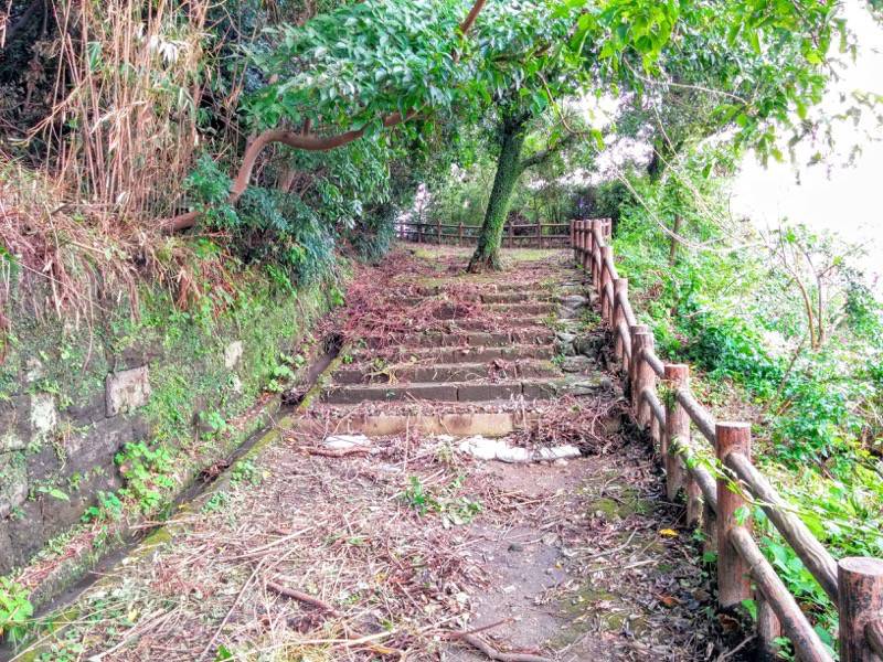 東福寺城跡4.jpg 東福寺城跡4