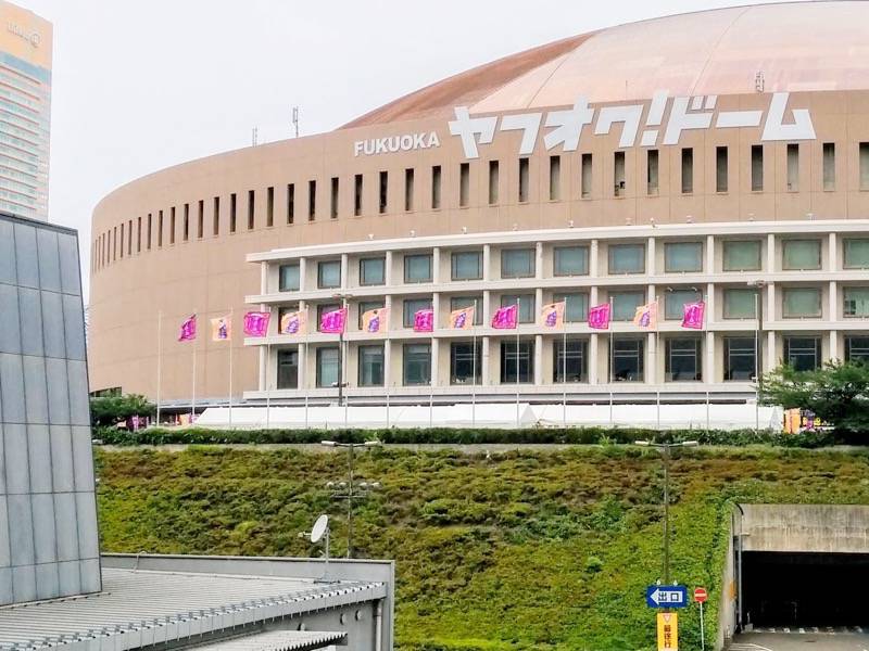 サザンおいしい葡萄の旅ヤフオク ヤフオクドーム１