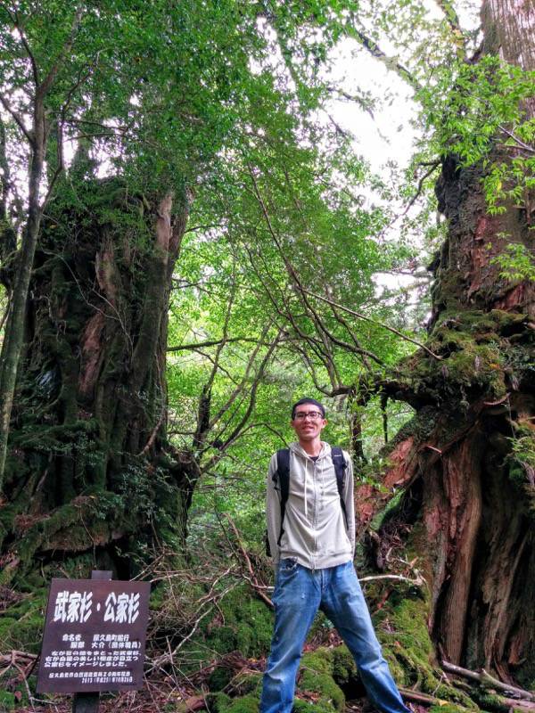 白谷雲水峡78武家杉・公家杉記念写真.jpg 白谷雲水峡78武家杉 公家杉記念写真