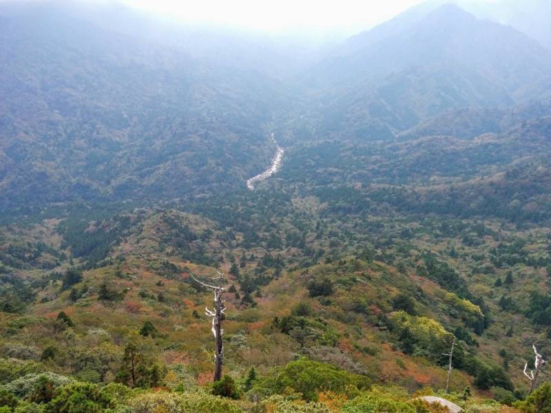 白谷雲水峡９５太鼓岩