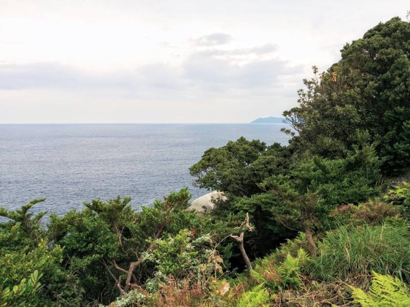 屋久島灯台-灯台前からの眺め1.jpg 屋久島灯台 灯台前からの眺め1
