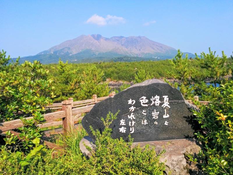 溶岩なぎさ遊歩道29藤後左右句碑.jpg 溶岩なぎさ遊歩道29藤後左右句碑