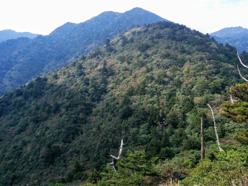 白谷雲水峡９８太鼓岩