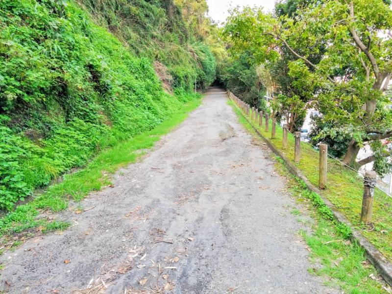 城山自然遊歩道2.jpg 城山自然遊歩道2