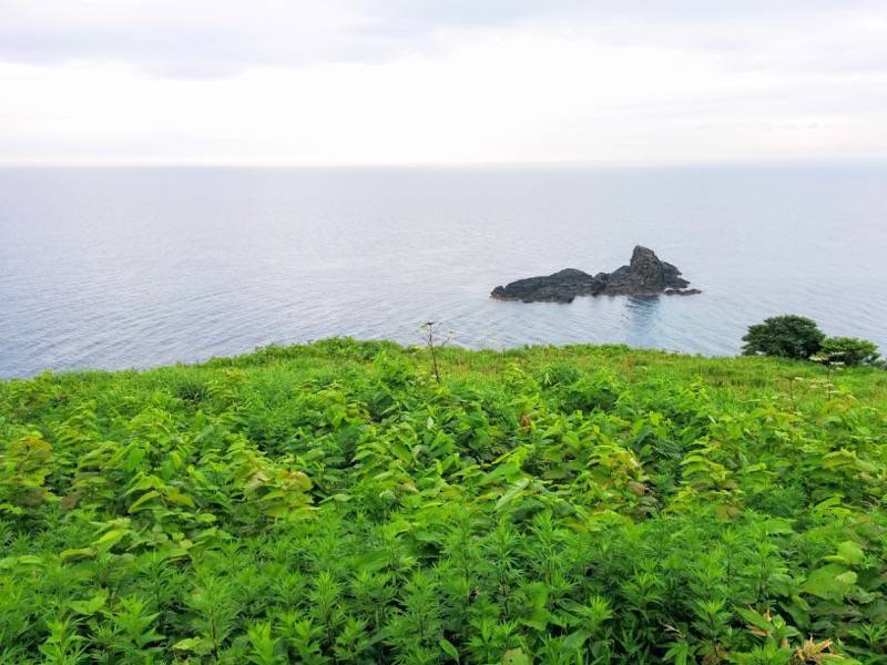 祝津パノラマ展望台８