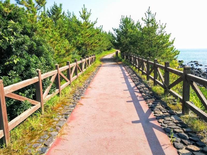 溶岩なぎさ遊歩道15.jpg 溶岩なぎさ遊歩道15