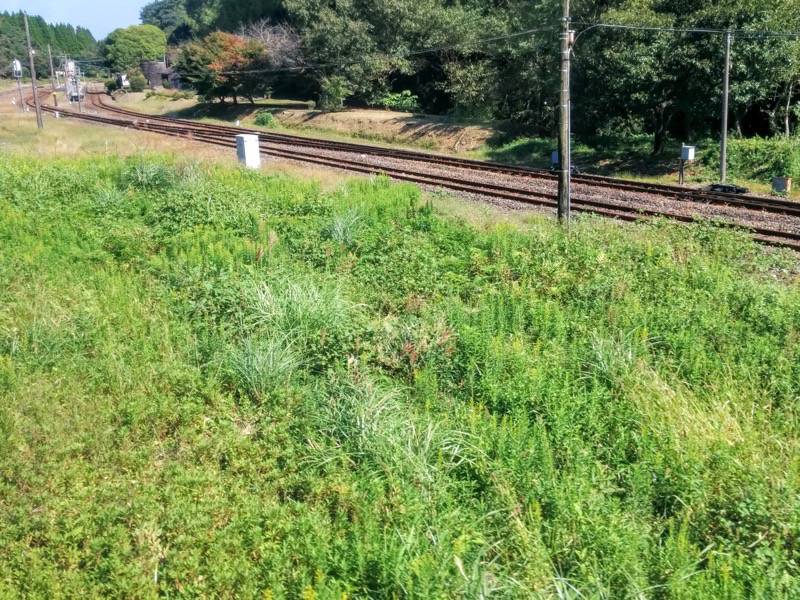 いさぶろう・しんぺい-大畑〜矢岳間3.jpg いさぶろう しんぺい 大畑 矢岳間3