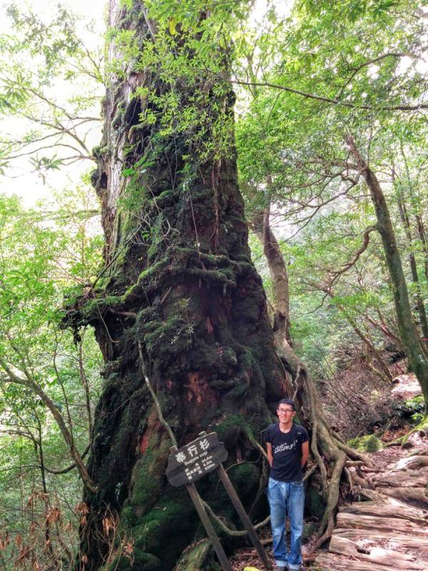 白谷雲水峡３５奉行杉記念写真