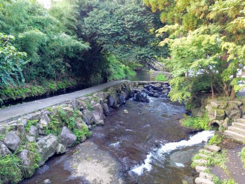 白川水源 付近の川３