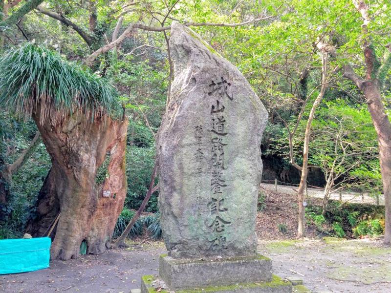城山自然遊歩道4.jpg 城山自然遊歩道4