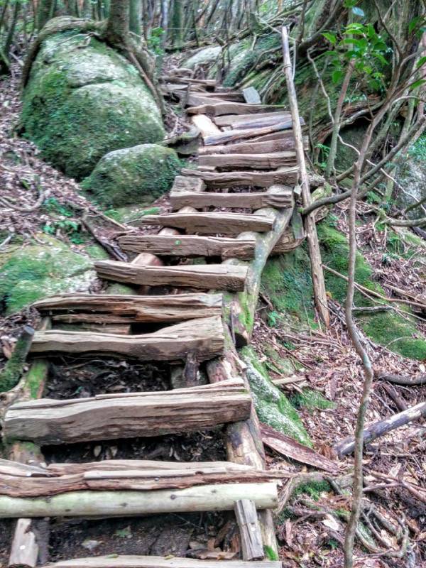 白谷雲水峡８６辻峠 太鼓岩間