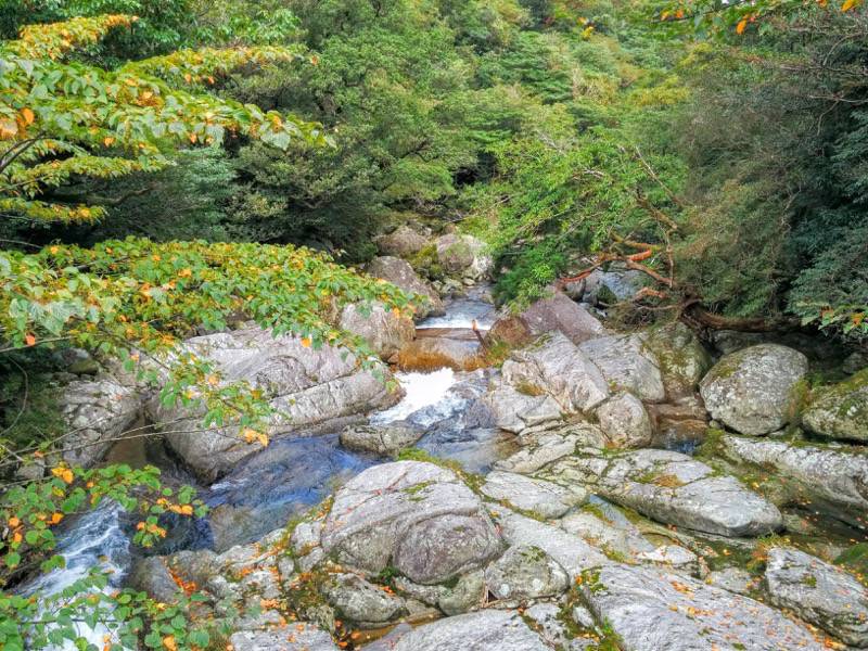 白谷雲水峡２入口付近