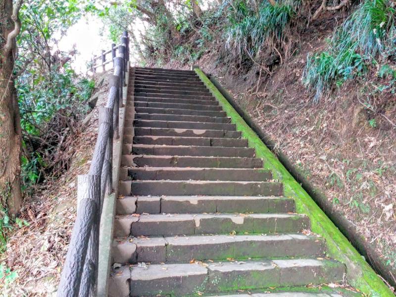 城山自然遊歩道11.jpg 城山自然遊歩道11