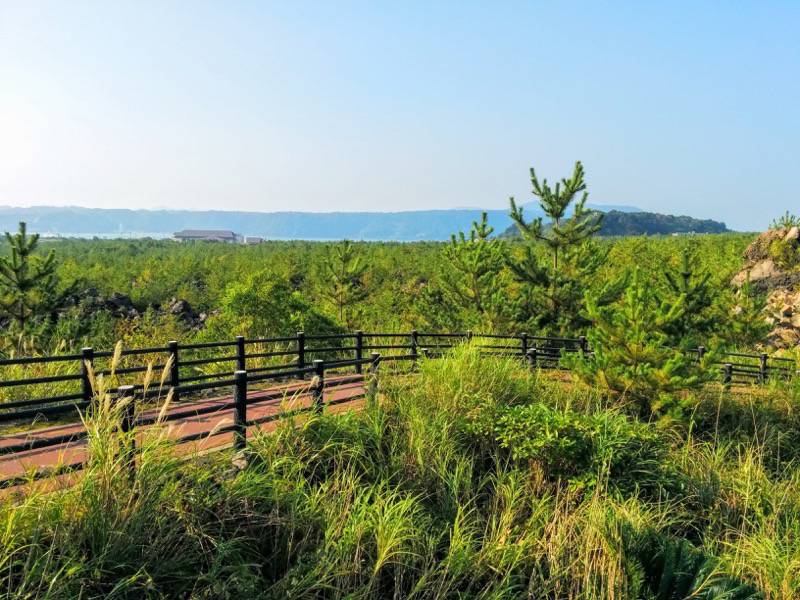 烏島展望台 周囲の風景１