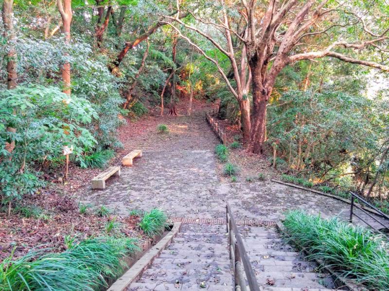 東福寺城跡24.jpg 東福寺城跡24