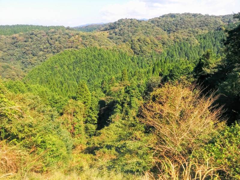 いさぶろう・しんぺい-大畑〜矢岳間7.jpg いさぶろう しんぺい 大畑 矢岳間7