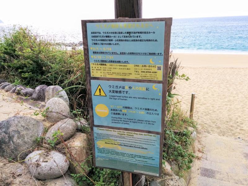 いなか浜 ウミガメ鑑賞を希望される方へ