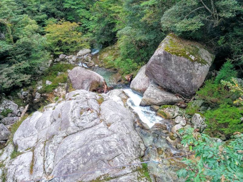 白谷雲水峡１１１さつき吊橋より