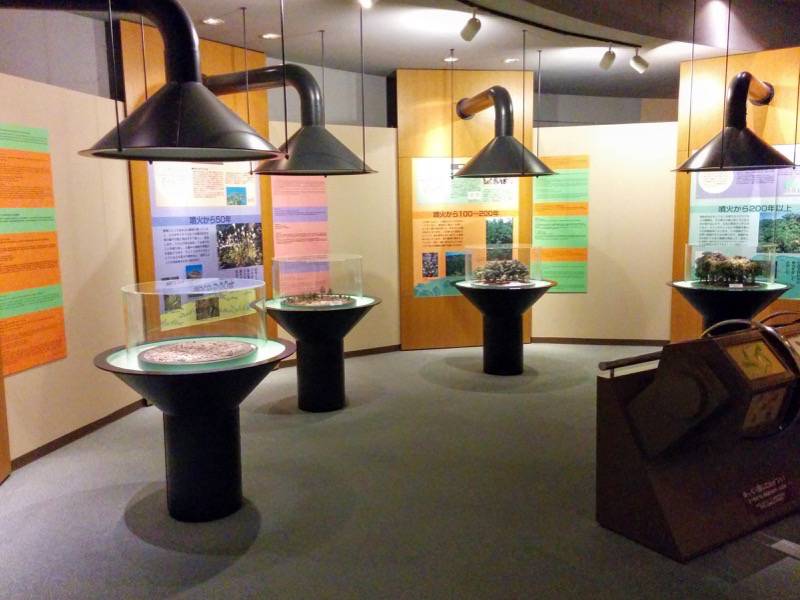 桜島ビジターセンター-館内8.jpg 桜島ビジターセンター 館内8