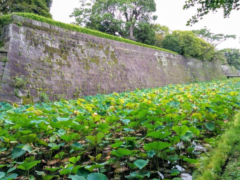 鶴丸城 鹿児島城 石垣５