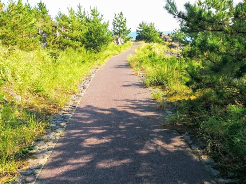 溶岩なぎさ遊歩道23.jpg 溶岩なぎさ遊歩道23
